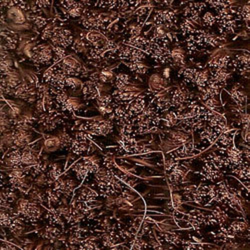 Kersaint Cobb Entrance Coir Matting, Light Brown, 17mm